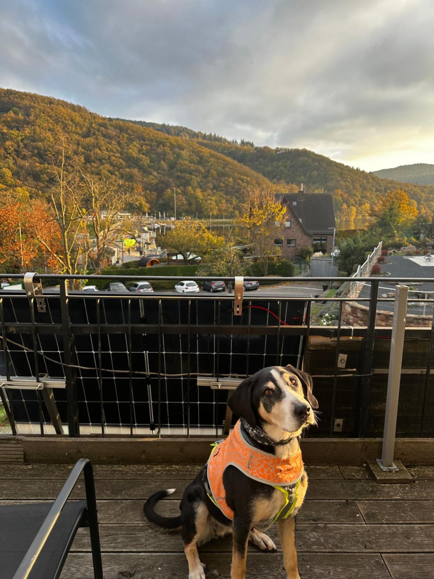 Green Seeblick Hotel Am See Obermaubach エクステリア 写真